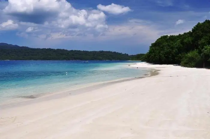 10 Tourist Destinations in Ujung Kulon, From Charming Beaches to Grasslands