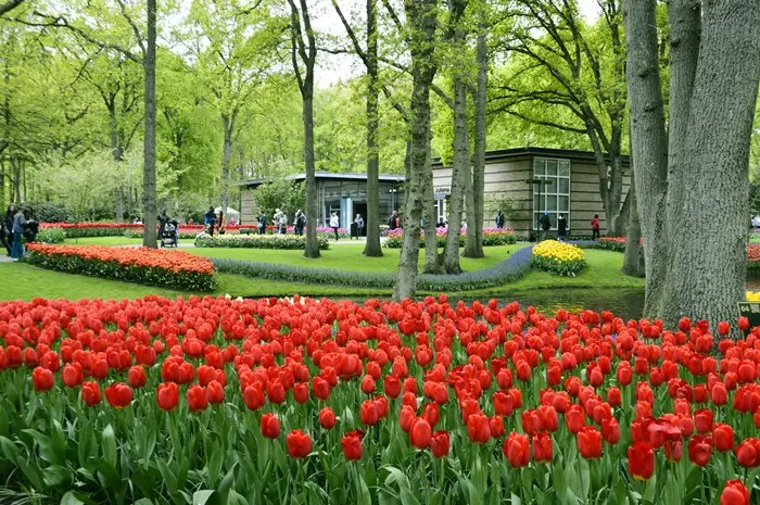 10 Must-Visit Tourist Destinations in the Netherlands